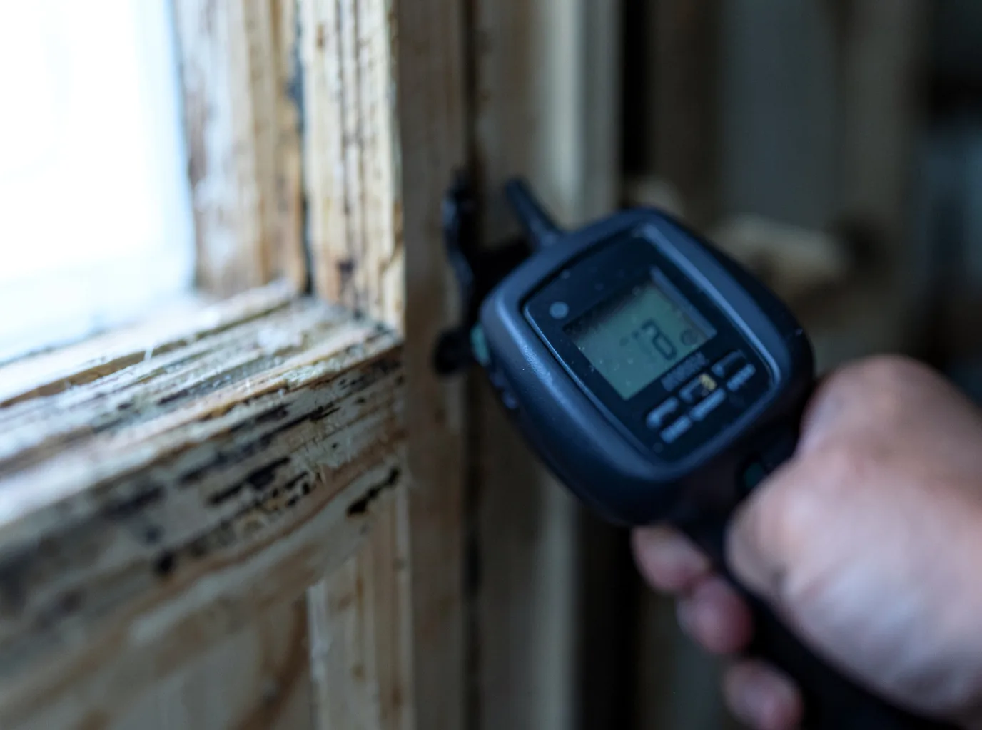 Commercial Water Damage Restoration in Mylo, ND